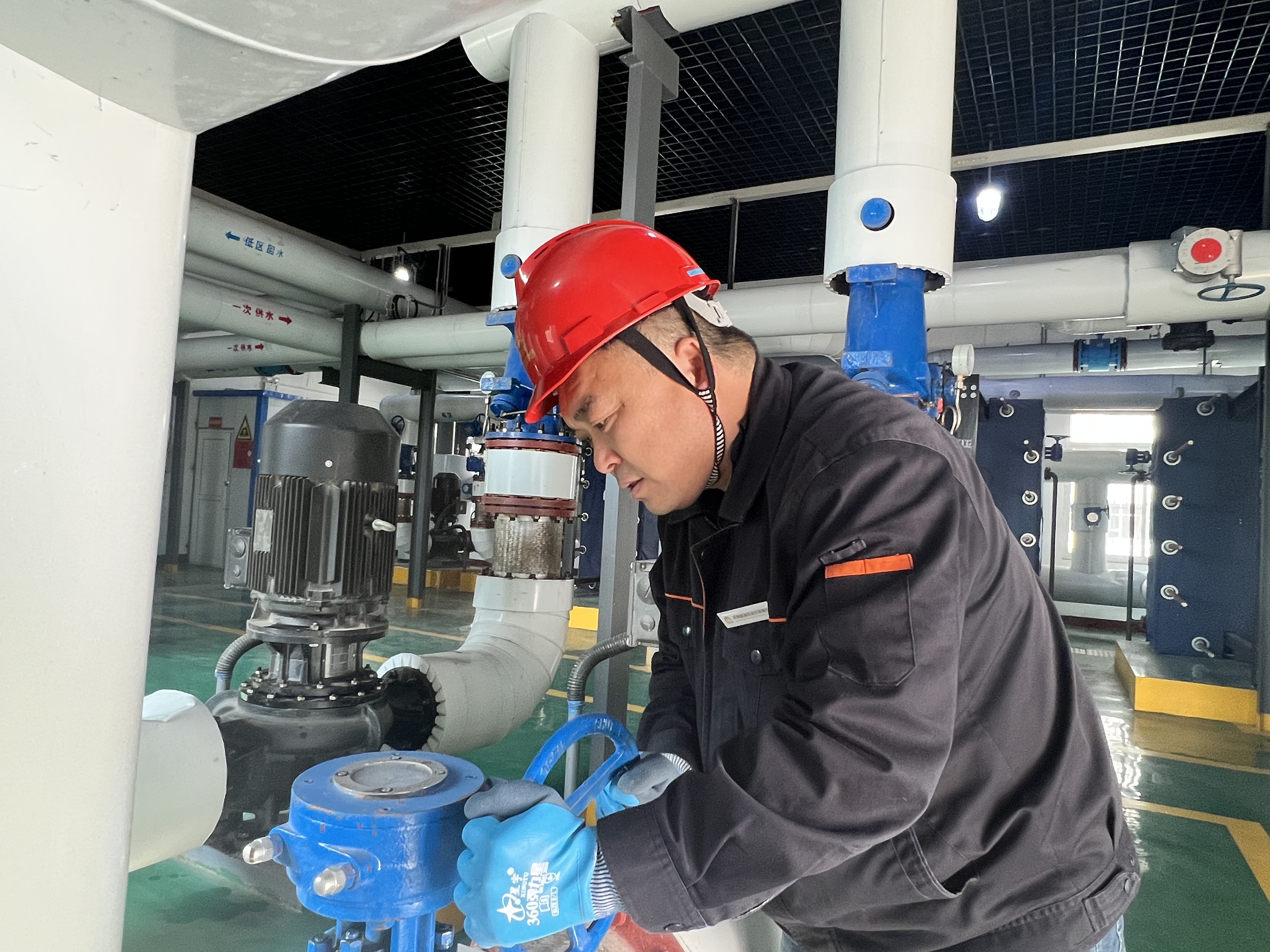 鉴黑担保网(jhdbw)·最具权威唯一维权担保平台